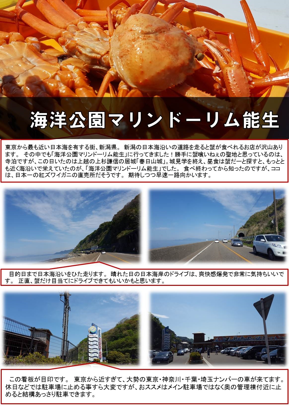 東京から最も近い日本海を有する街、新潟県。　新潟の日本海沿いの道路を走ると蟹が食べれるお店が沢山あります。　その中でも「海洋公園マリンドーリム能生」に行ってきました！勝手に蟹喰いねぇの聖地と思っているのは、寺泊ですが、この日いたのは上越の上杉謙信の居城「春日山城」。城見学を終え、昼食は蟹だーと探すと、もっととも近く海沿いで栄えていたのが、「海洋公園マリンドーリム能生」でした。　食べ終わってから知ったのですが、ココは、日本一の紅ズワイガニの直売所だそうです。　期待しつつ早速一路向かいます。　目的日まで日本海沿いをひた走ります。　晴れた日の日本海岸のドライブは、爽快感爆発で非常に気持ちいいです。　正直、蟹だけ目当てにドライブできてもいいかもと思います。 　この看板が目印です。　東京から近すぎて、大勢の東京・神奈川・千葉・埼玉ナンバーの車が来てます。　休日などでは駐車場に止める事すら大変ですが、おススメはメイン駐車場ではなく奥の管理棟付近に止めると結構あっさり駐車できます。