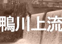 オオサンショウウオのいる京都『鴨川上流』の飛込みスポットへ潜入調査！