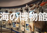 【写真で観る】千葉県勝浦にある”千葉県立中央博物館分館　海の博物館”まとめ