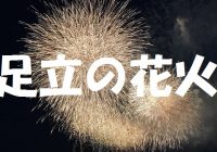 写真で観る、江戸の夏を満喫!”足立の花火”の無料オススメ観覧場所