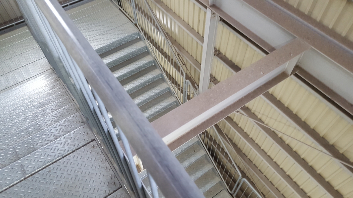 そして仮組された鉄製の階段を登り工事中の「輪王寺三仏堂（本堂）」を見学に行きます。