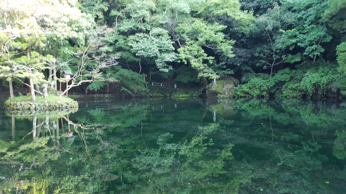 そして、到着「出流原弁天池」です。　流ヽ(*´▽)ノ♪名水百選に選ばれるだけありビックリするぐらい綺麗な水質の池です。