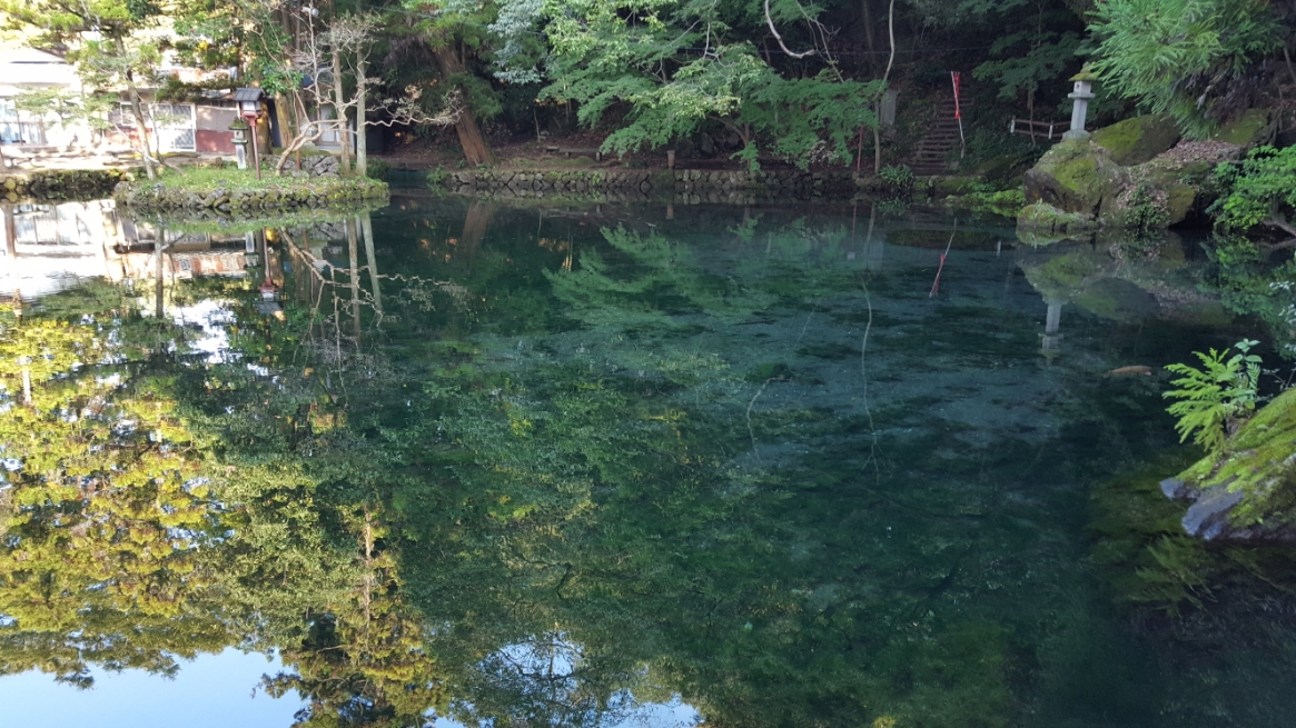 「湧釜神社」から観る池も非常に美しいです。