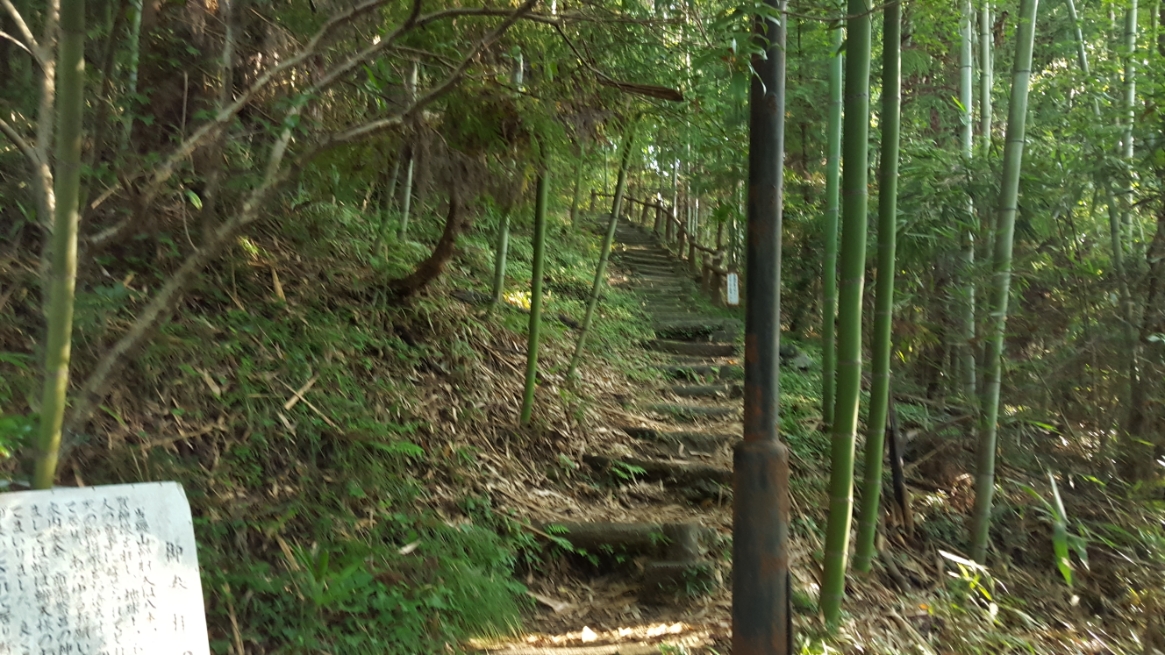 折り返し地点は、四俣道になっており右手の竹藪方面に散策路があり、左手に御堂があります。
