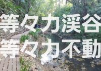 東京都23区内にある自然豊かな大秘境「等々力渓谷」を徹底解説！！