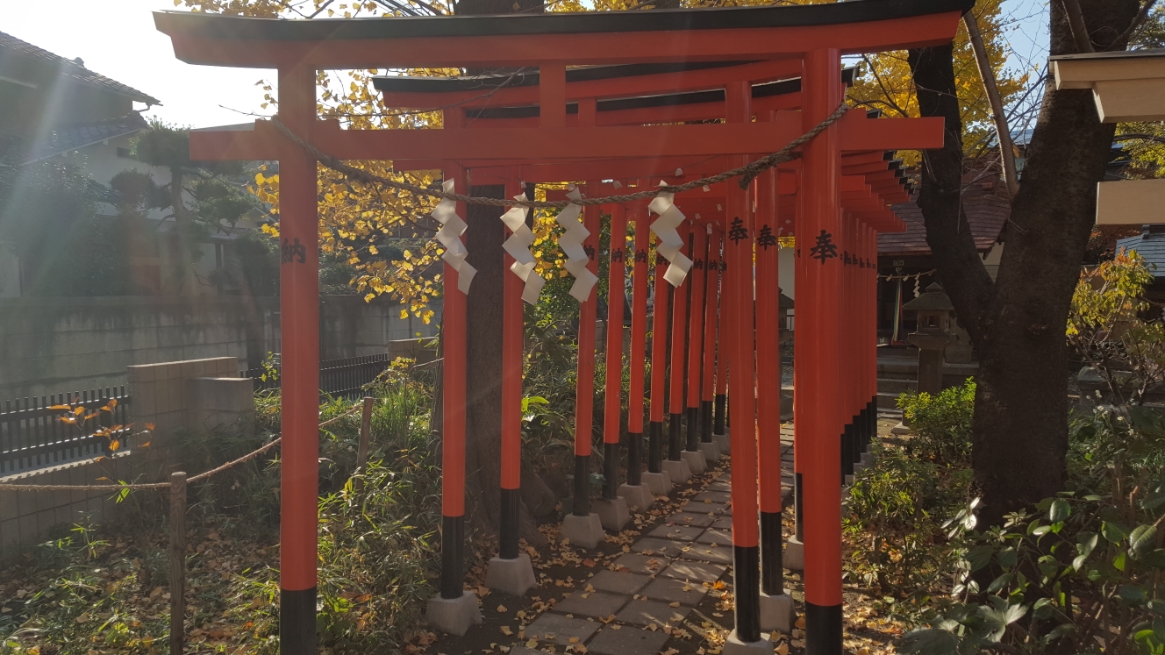 次に、赤い鳥居が美しい「藤森稲荷神社」を参拝します。