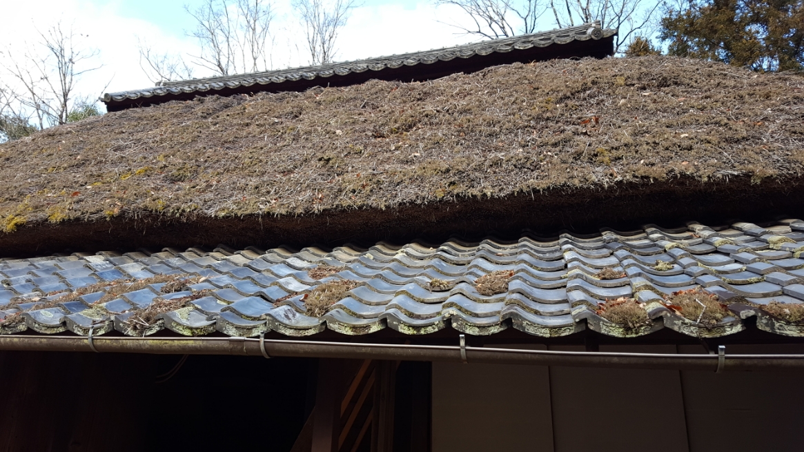 こちらの忍者屋敷も藁葺屋根の古い建物となっております！ちなみに、この忍者村にある屋敷の殆どが100年以上前の古い屋敷を移築してきたものとなっており味が出ております！