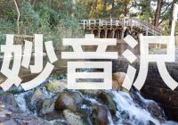 平成の名水百選に選ばれた埼玉県新座市の「妙音沢」雑木林を歩く！