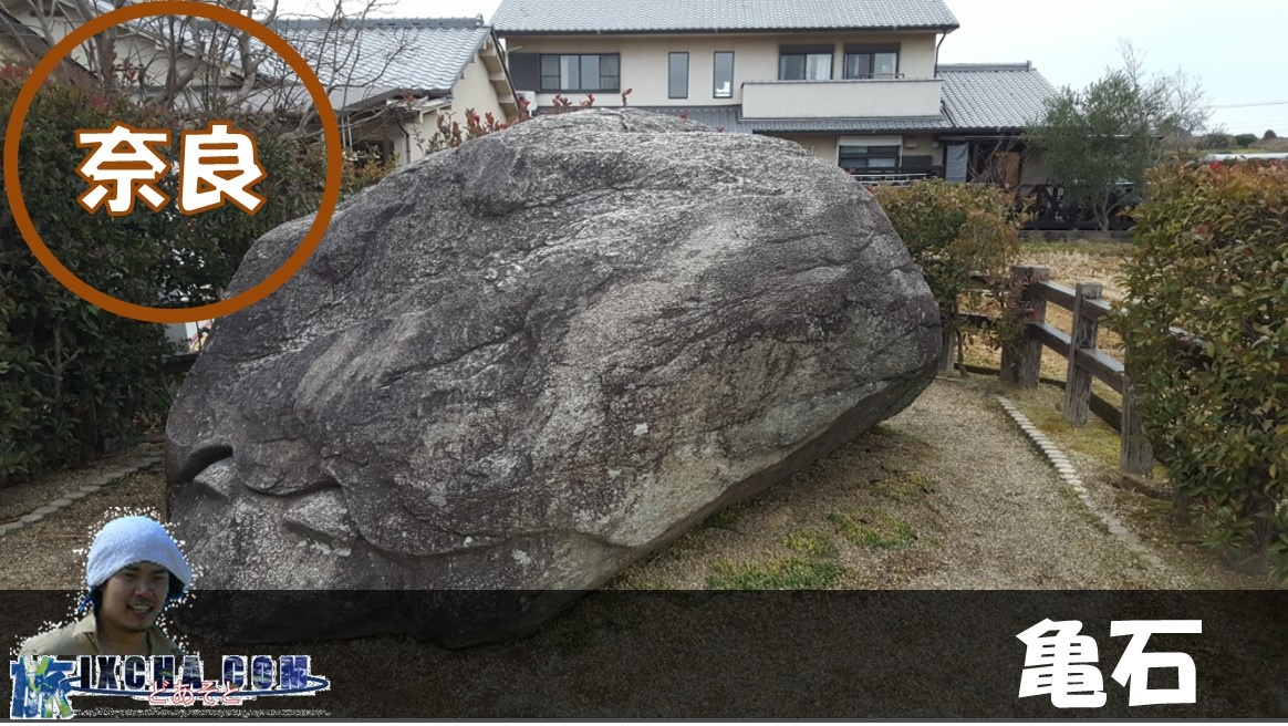 奈良県明日香村にある亀の形をした飛鳥の石造物の代表的な遺跡「亀石（かめいし）」を観にきました！　「亀石」は、長さ3.6㍍、幅2.1㍍、高さ1.8㍍の巨大な花崗岩の下部に亀に似た彫刻が彫られていることからこの名前で呼ばれております。　ユーモラスな顔つきから明日香村観光のシンボルとなっている亀石とは、どんな石でしょうか！？