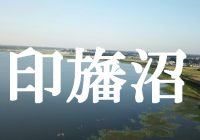 千葉県にある美しい日本最大の湖沼『印旛沼』をドローンで空撮してみた！