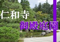 京都でも有数の庭園が観られる世界遺産『仁和寺御殿庭園』へ潜入調査！！