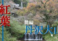 紅葉を観に江戸時代から人気の大山詣をしに『丹沢大山』へ行ってみた～麓編～