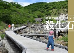 近づく物は命が奪われると伝わる栃木県那須町の『殺生石』を観に行ってみた